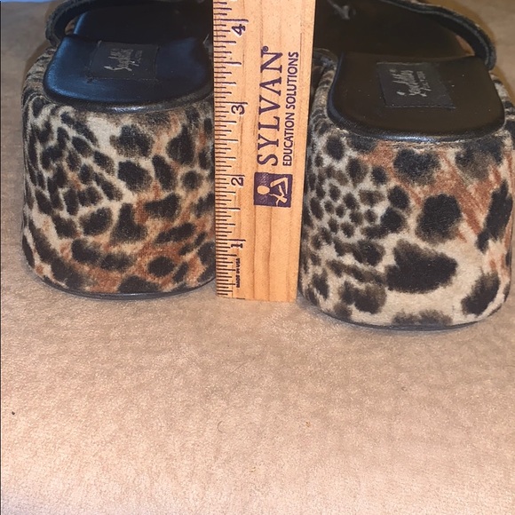 Seychelles - Picture 4 of 4